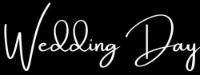 Wedding Day.jpg